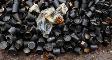 Why plastic nursery pots are a problem (and what community gardens are using instead)