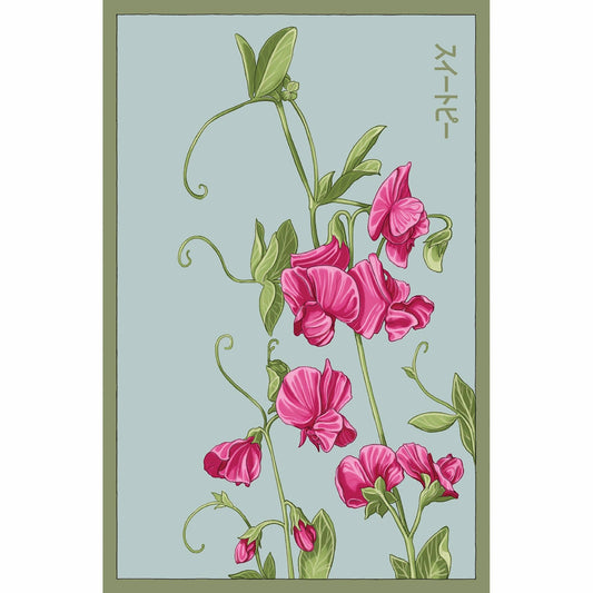 Sweet Pea Flower Seeds Packet