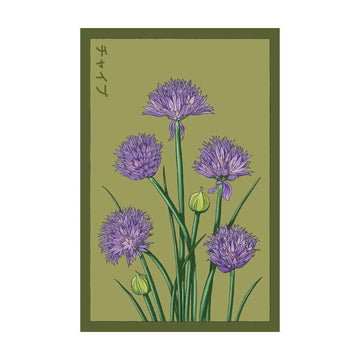 Chives Herb Seeds Packet