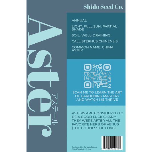 Aster Flower Seeds Packet
