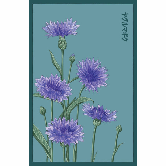 Blue Cornflower Flower Seeds Packet