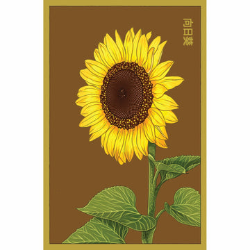 Sunflower Flower Seeds Packet