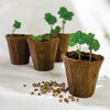 OceanMade Kelp Pots - 3" Round (10 Pack)