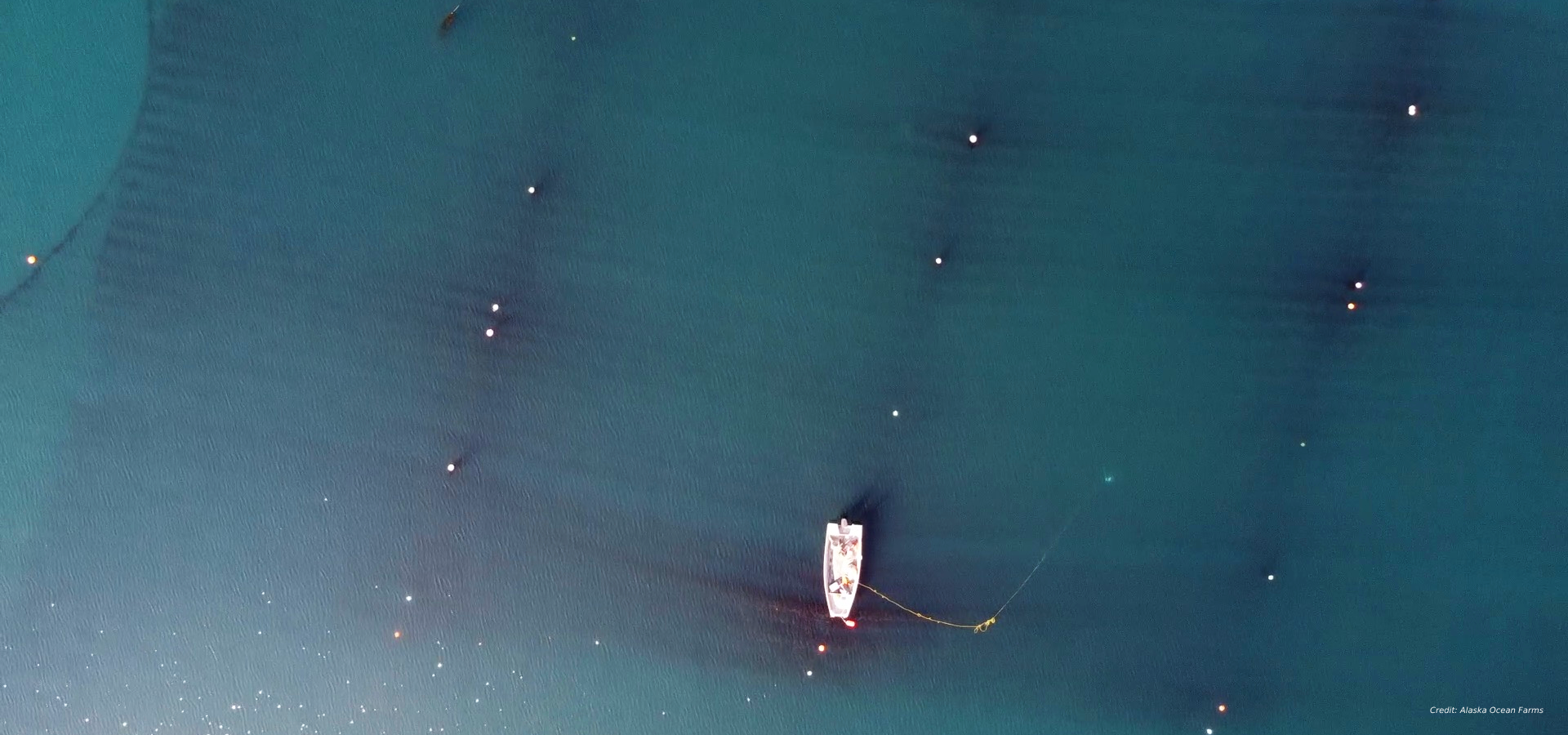 Ocean Made