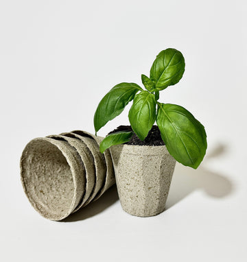 Pre-Order: OceanMade Kelp Pots - 3" Round (10 Pack)