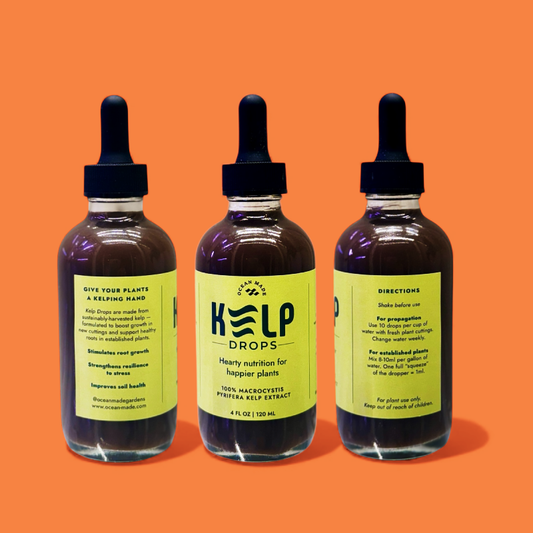 Ocean Made Kelp Drops | Plant Growth Concentrate