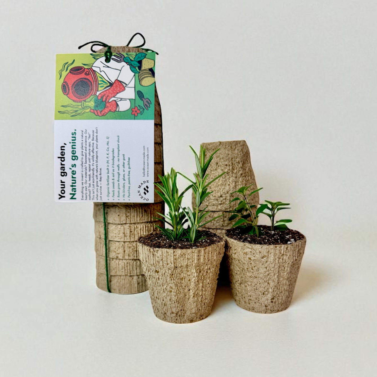 compostable pots for plants Ocean Made Kelp Pots