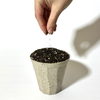 Pre-Order: OceanMade Kelp Pots - 3" Round (10 Pack)