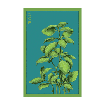 Basil Herb Seeds Packet