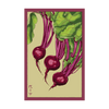Beet Vegetable Seeds Packet