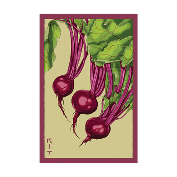 Beet Vegetable Seeds Packet