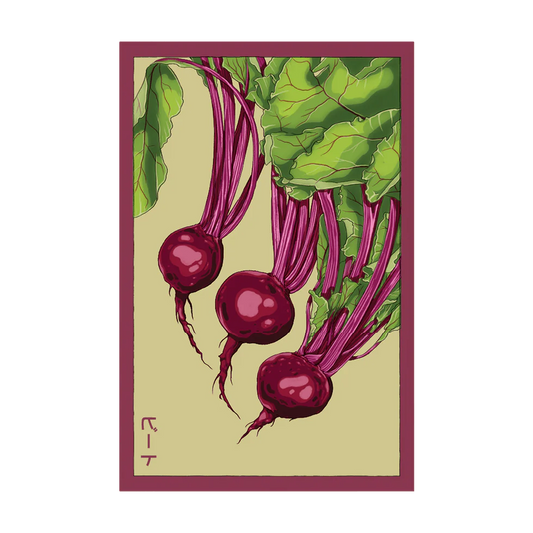 Beet Vegetable Seeds Packet