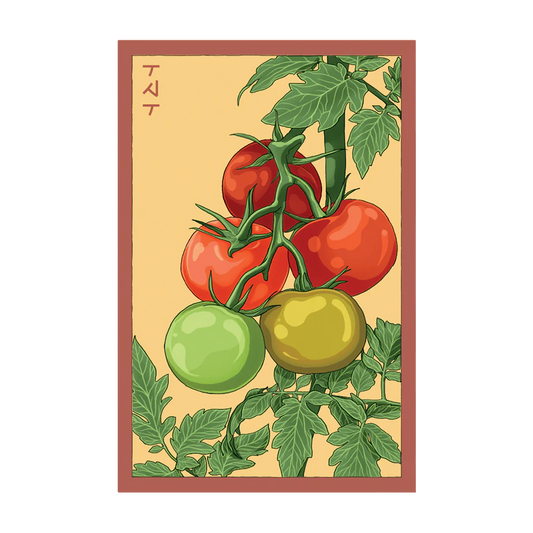 Beefsteak Tomato Vegetable Seeds Packet