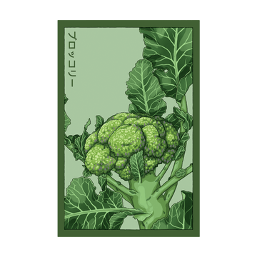 Broccoli Vegetable Seeds Packet