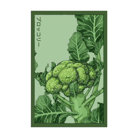 Broccoli Vegetable Seeds Packet