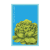 Butterhead Lettuce Vegetable Seeds Packet