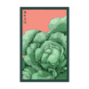 Cabbage Vegetable Seeds Packet