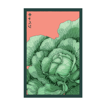 Cabbage Vegetable Seeds Packet
