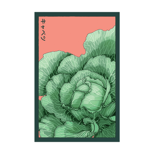 Cabbage Vegetable Seeds Packet