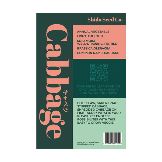 Cabbage Vegetable Seeds Packet