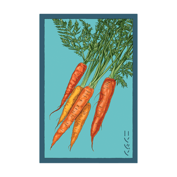 Carrot Vegetable Seeds Packet
