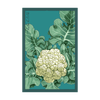 Cauliflower Vegetable Seeds Packet