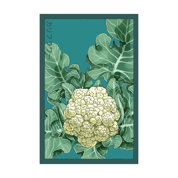 Cauliflower Vegetable Seeds Packet