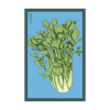 Celery Vegetable Seeds Packet