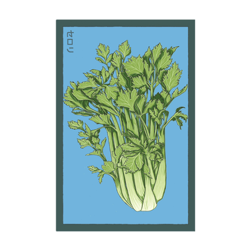 Celery Vegetable Seeds Packet