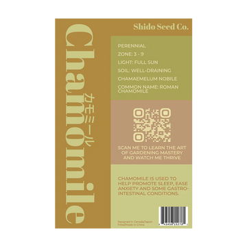 Chamomile Flower Seed Packet