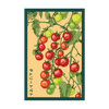 Cherry Tomato Vegetable Seeds Packet