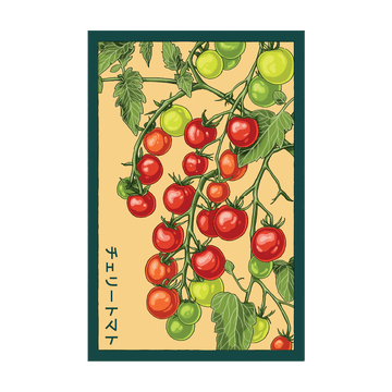 Cherry Tomato Vegetable Seeds Packet