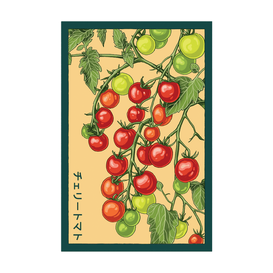 Cherry Tomato Vegetable Seeds Packet