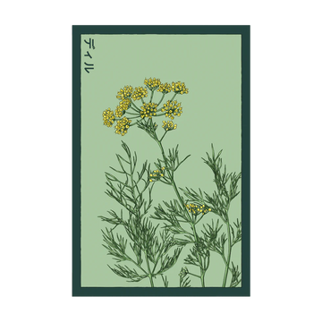Dill Herb Seeds Packet