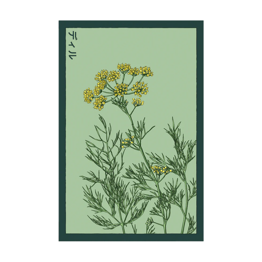 Dill Herb Seeds Packet