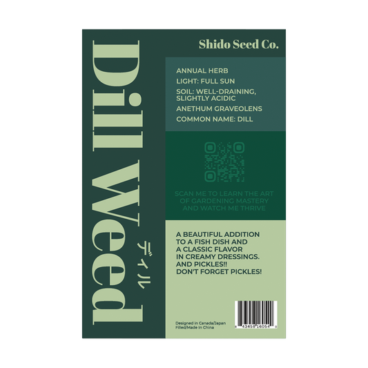 Dill Herb Seeds Packet