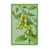 Edamame Vegetable Seeds Packet