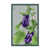 Eggplant Vegetable Seeds Packet