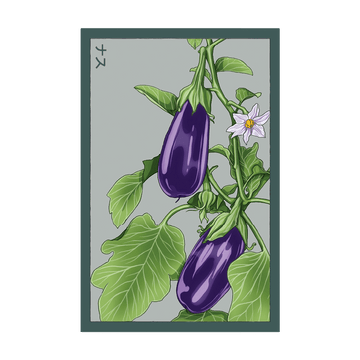 Eggplant Vegetable Seeds Packet