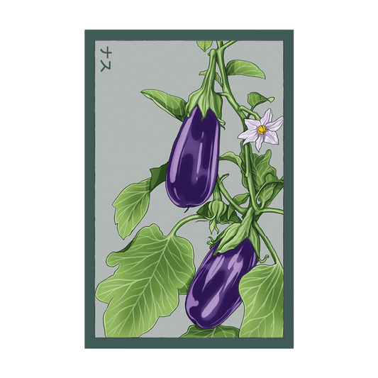 Eggplant Vegetable Seeds Packet