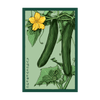 English Cucumber Vegetable Seeds Packet