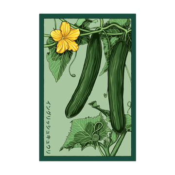 English Cucumber Vegetable Seeds Packet