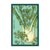 Fennel Vegetable Seeds Packet