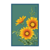 Gazania Flower Seeds Packet