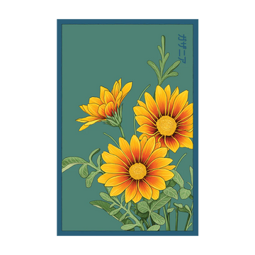 Gazania Flower Seeds Packet