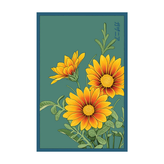 Gazania Flower Seeds Packet