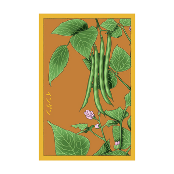 Green Beans Vegetable Seeds Packet