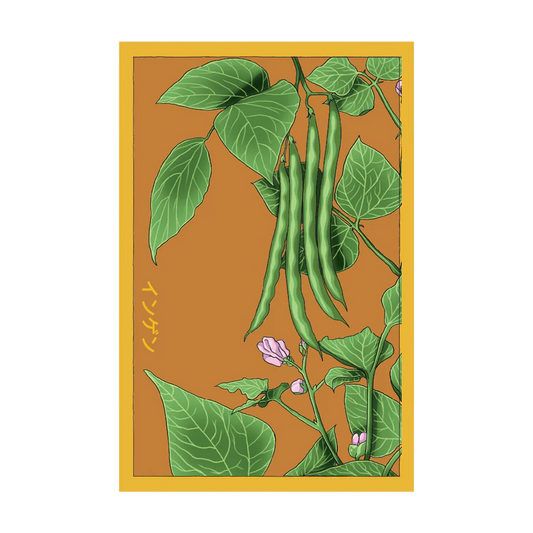 Green Beans Vegetable Seeds Packet