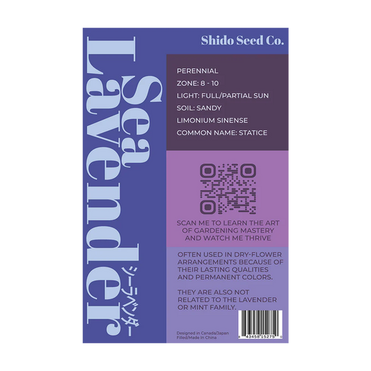 Sea Lavender Flower Seeds Packet