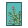 Mint Herb Seeds Packet